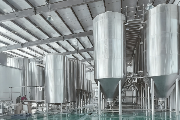 Multiple tall stainless steel process tanks with conical bottoms, platforms and piping inside a bright, clean industrial production workshop